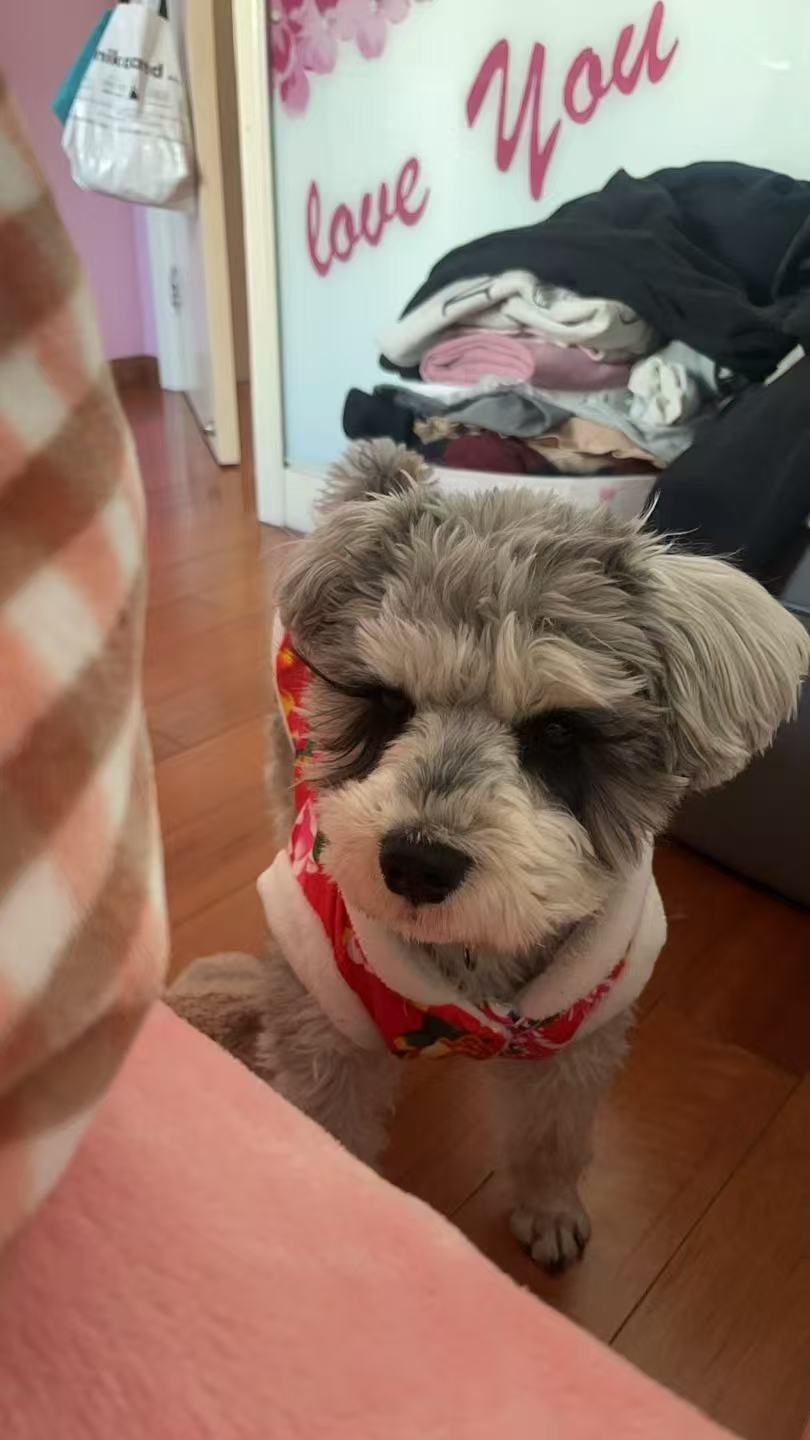 Cookie learning to walk